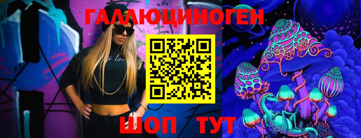 Галлюциногенные грибы Psilocybine cubensis Майкоп